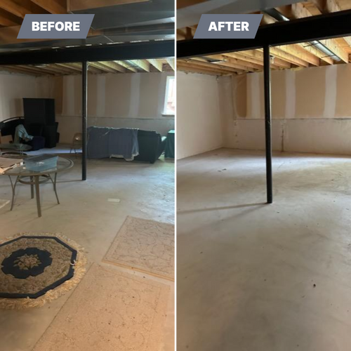 Before & Afters for Blue Eagle Junk Removal in Oakland County, MI