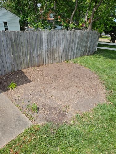 Stump Grinding for Anchor & Grind Stump in Chesapeake, VA