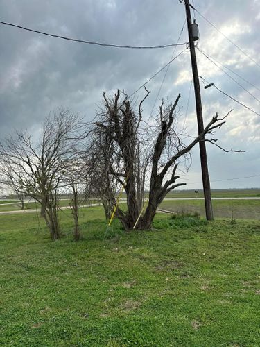 Mowing for Allen Lawn Care in Taylor, Texas