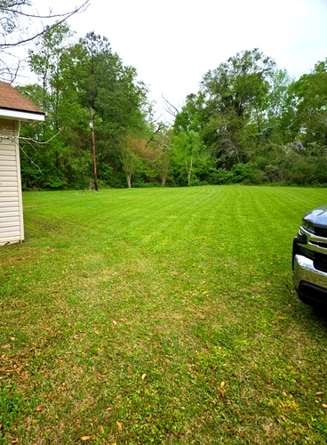  for Lawn Ranger Lawn Care & Maintenance in Hammond, LA