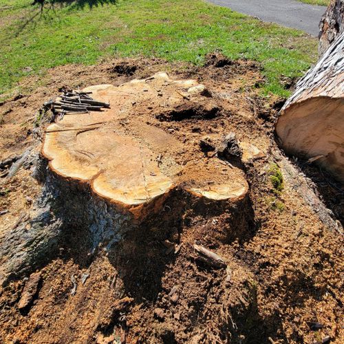  for Z's Land Management & Forestry Mulching in Smithville, TN