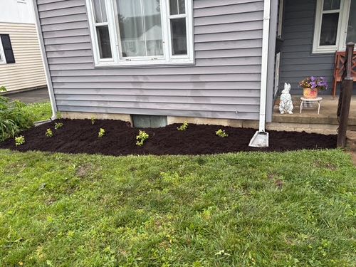  for Red Beard Lawn Care in Chillicothe, OH