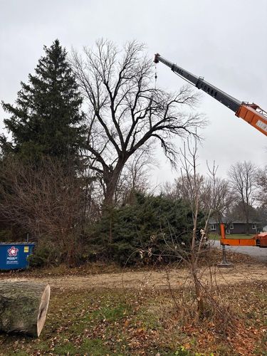 Tree Trimming for Fransen's Tree Service  in Freeport, IL