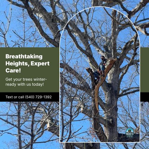  for Ricky's Tree Service & Property Care in Orange, VA