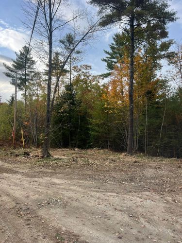 Site Preparation for Shufelt Excavation & Forestry Mulching in Gray, ME