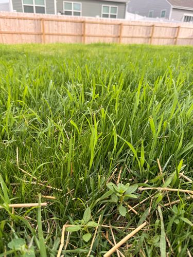 Lawn Care and Maintenance for Sneed & Co LLC in Kokomo, IN