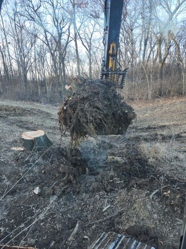 Land Clearing & Demolition for BDS Trucking & Excavating in Litchfield, IL