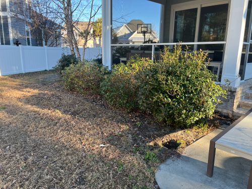 All Photos for New Creation Landscaping in Myrtle Beach, SC