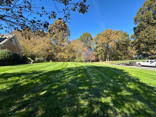  for Pecina Pine Needles in Monroe, NC