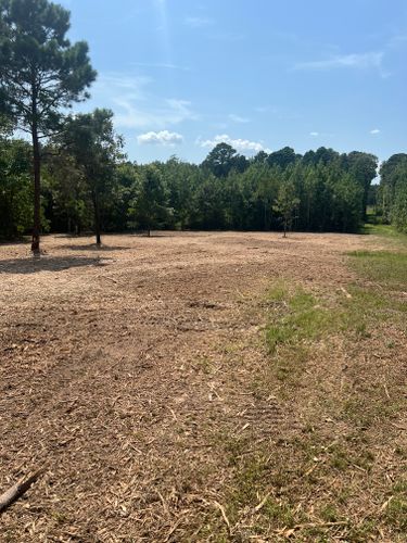  for 903 Mulching in East Mountain, TX
