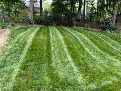 Mowing for Sage Green Lawn Care in Greensboro,  NC