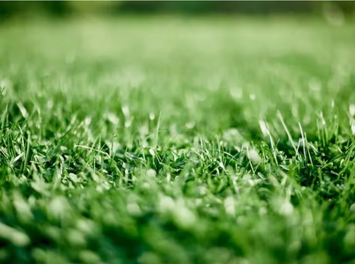 All Photos for Citiscapes, LLC in Phoenix, AZ