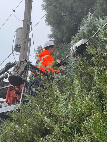  for Hammons Construction LLC in Eugene, OR