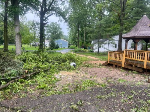 Emergency Tree Removal for Down To Earth Tree Service, LLC in Olmsted Falls, OH