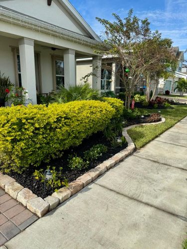 Landscaping for Shoreside Property Services in Apollo Beach, FL