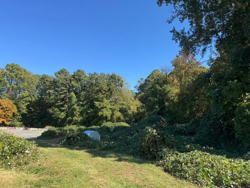  for Southern Turf & Landscape in Concord, NC