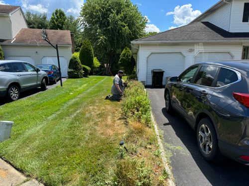 Mulch Installation for Stars and Stripes Landscape Design LLC in Edison, NJ