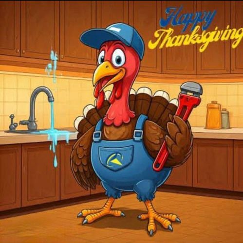  for Four Seasons Drain Services in Ionia County, MI