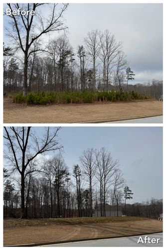 Brush Cutting and Removal for Fayette Property Solutions in Fayetteville, GA