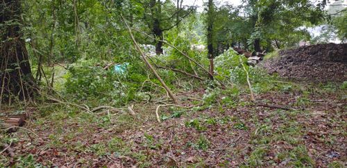 Stump Grinding for Bull Island Lawn Care LLC in Poquoson, VA