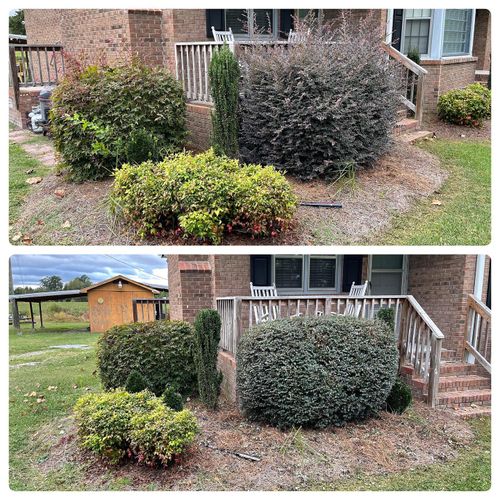 Fall and Spring Clean Up for Sabre's Edge Lawn Care in Greenville, NC