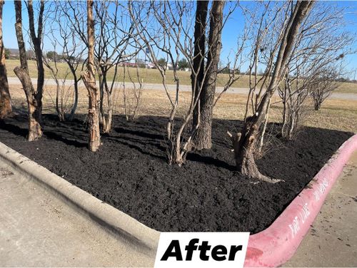 Mulching for JLP Home & Commercial Services, LLC in College Station, Texas