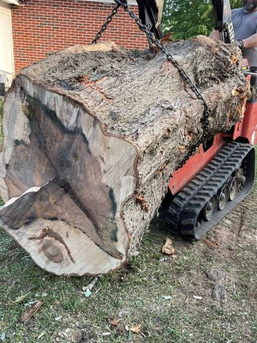 Tree Services for Tree Guys Pressure Washing & Stump Grinding in Scottsboro, AL