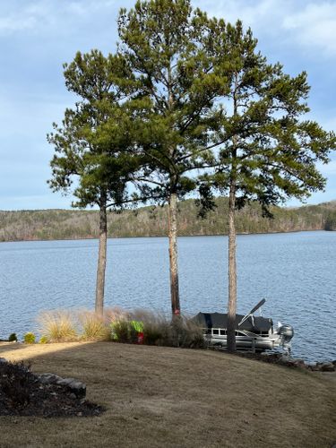 Pruning  for Pinedown LLC in Cherokee County, GA