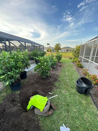 Planting for MX Trees LLC in Englewood, FL