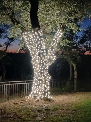  for Xtreme Clean Plus in Fredericksburg, TX