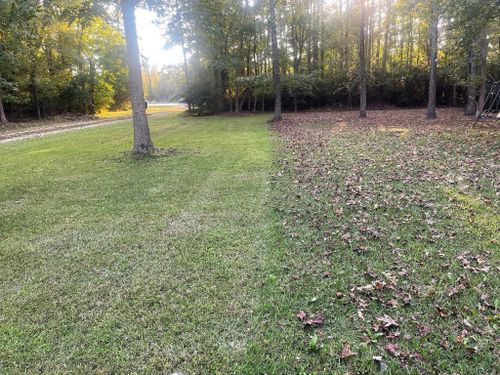 All Photos for Voilà Magic LawnCare Services in Jacksonville, NC