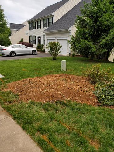 Shrub Trimming for W D Giampa Lawns and Landscape Inc. in Manassas, VA