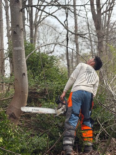 All Photos for Ramirez Tree Care in Elkin, NC