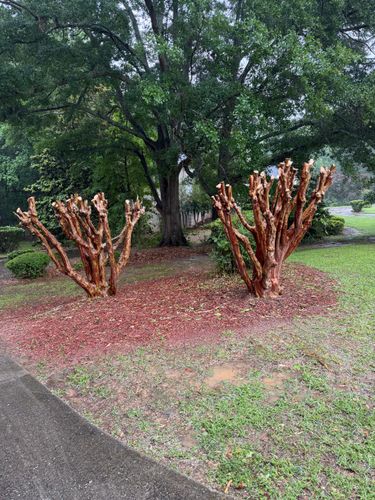  for Fantastic Lawn Care LLC in Fayetteville, GA