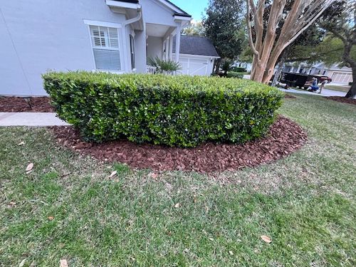 Mulch Installation for K & A Landscaping, Inc. in Jacksonville, FL