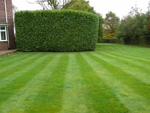  Hedge Trimming for Lanzdorf Lawn & Landscaping  in Stow, OH