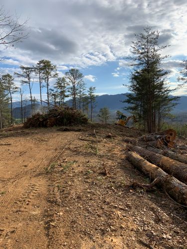 Land Clearing for Holmes Septic Works LLC in Knoxville, TN 