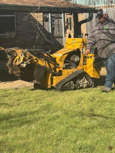 Stump Removal for Superior Lawn and Tree in Clifton, TX