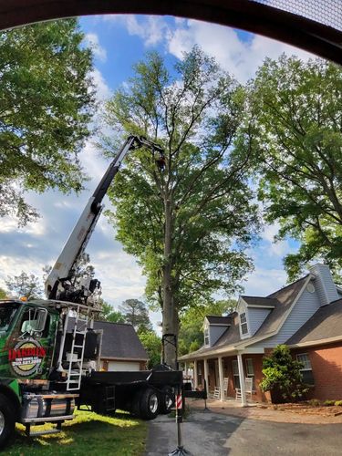  for Darbie's Tree Service in Newburg,  MD