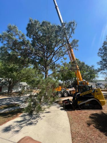 Crane Removals for Adam's Tree and Stump Care in Sarasota, FL