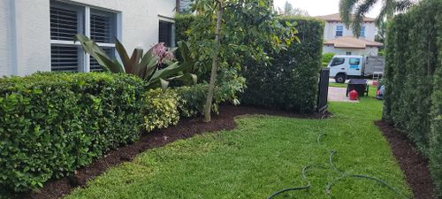Landscape for L & J Palm Tree & Lawn Care Services in Jupiter, FL