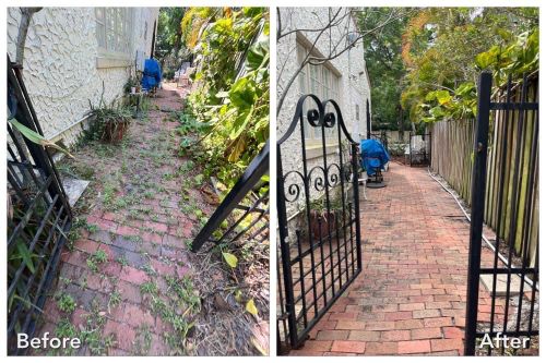 Fall and Spring Clean Up/ Property Clean Up for Verimay's Garden and Landscaping in Hillsborough County, FL