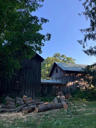 Tree Removal for Lovenguth Logging and Tree Service in West Monroe, NY