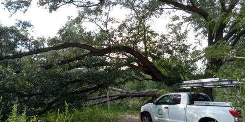 Tractor Service's ! Grapple work ; minor land clearing tree service ; chainsaw work ; gardens / food plots discing ETC for Landrum’s Lawn & Tractor Services in Blountstown, FL