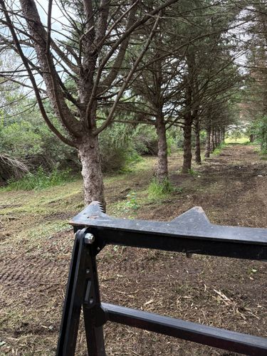 Land maintenance and brush control for Legge Farms and Drainage in Garner, IA