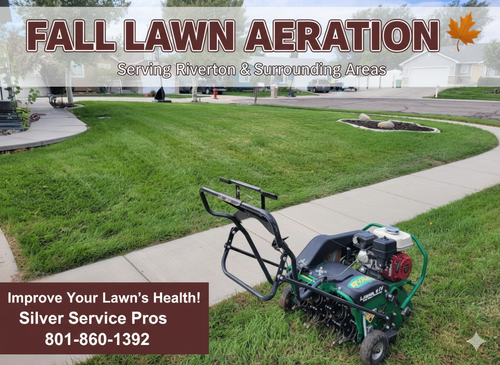 Lawn Aeration for Silver Service Pros in Riverton, UT
