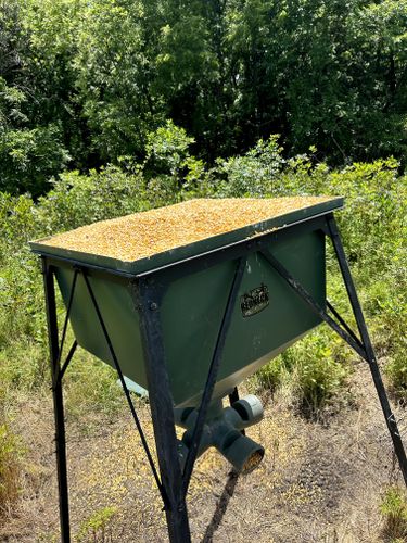 Feeder Maintenance for Two Young Bucks in Leon, IA