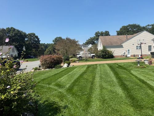 Shrub Trimming for Three Brothers Lawn & Landscaping LLC in Yorktown, VA