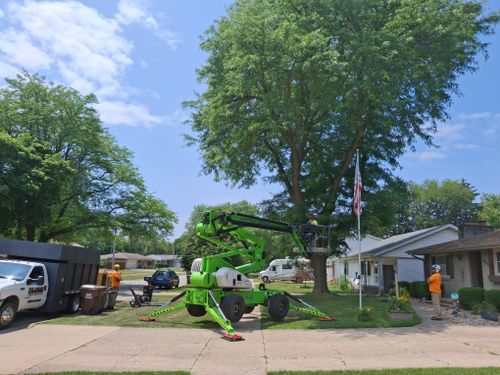 Tree Removal for Olson Tree Service, Inc in Rockford, IL