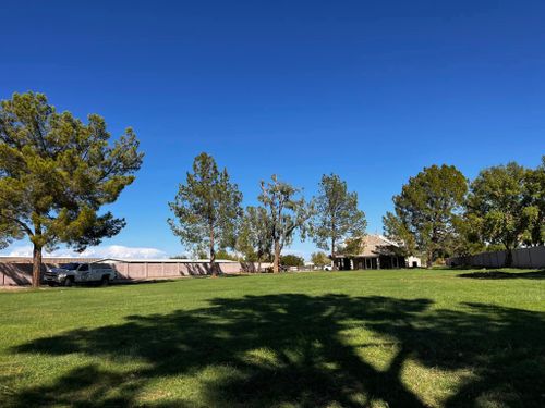  for AZ Tree & Hardscape Co in Surprise, AZ